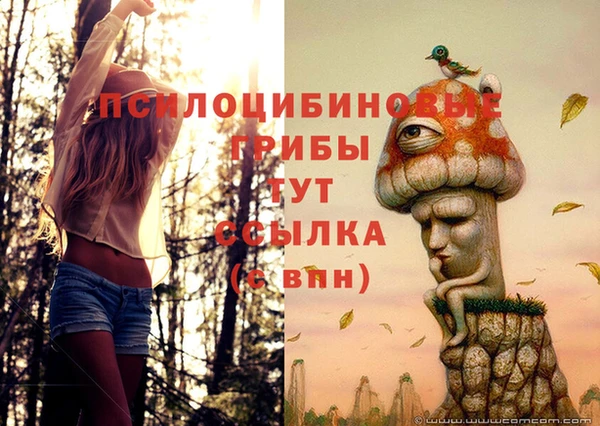 МДПВ Белоозёрский