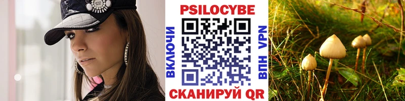 blacksprut вход  Шагонар  Галлюциногенные грибы ЛСД 