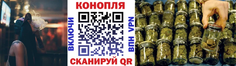 Бошки Шишки план  Шагонар 